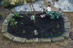 DSC07387.JPG