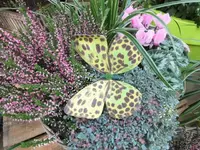 DSCI0727 (1).webp DSCI0727 (1).webp