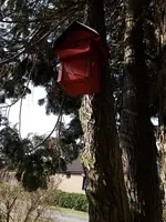 20190216_134307.webp