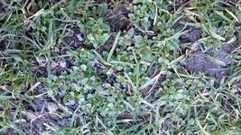 20190215_134947.webp