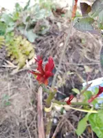 20190216_163512.webp