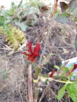20190216_163512.jpg