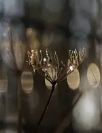 0M3A5937.webp