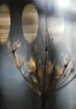0M3A5939.webp