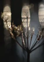0M3A5940.webp