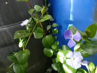 DSC00102.webp
