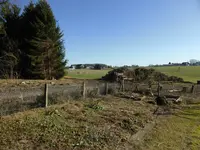 P1110800.webp