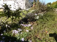 P1110806.webp