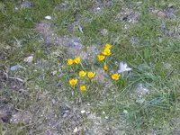 P1110809.webp