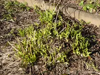 P1110810.webp