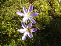 P1110816.webp
