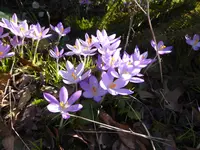 P1110817.webp