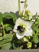 P1110818.webp