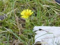 P1110820.webp