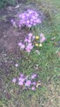 20190217_131854.jpg