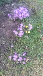 20190217_131854.webp