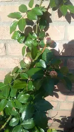 20190217_132250.webp