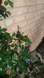 20190217_132318.webp