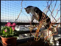 c011.webp