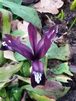 20190217_163101.webp