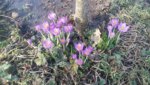 20190217_131803.jpg