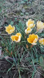 IMG_20190215_160403.webp