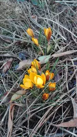 IMG_20190215_160344.webp