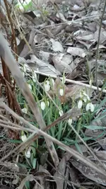 IMG_20190218_171116.webp