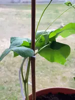20190219_141840.webp