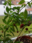 20190219_142949.jpg