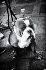 0M3A6097.webp