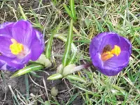 DSCI2818.webp DSCI2818.webp