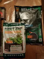 20190219_215719.webp