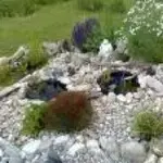 1550646784510.webp