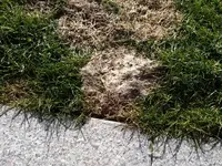 WhatsApp Image 2019-02-19 at 15.26.09.webp