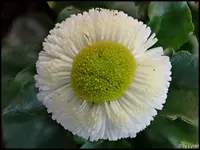 c022.webp