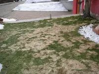 20_02_2019 (2).webp