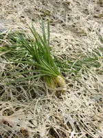 20_02_2019 (3).webp