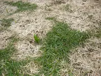 20_02_2019 (5).webp