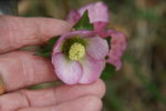 DSC07422.JPG