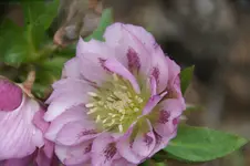DSC07425.webp