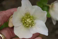 DSC07430.webp