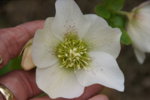 DSC07430.JPG