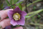 DSC07432.JPG