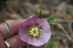 DSC07433.JPG