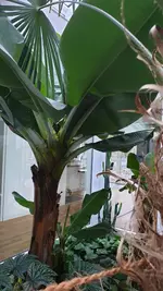 20190222_080450.webp