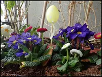 c024.webp
