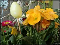 c026.webp