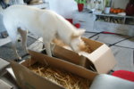 DSC07439.JPG