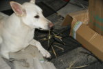 DSC07442.JPG